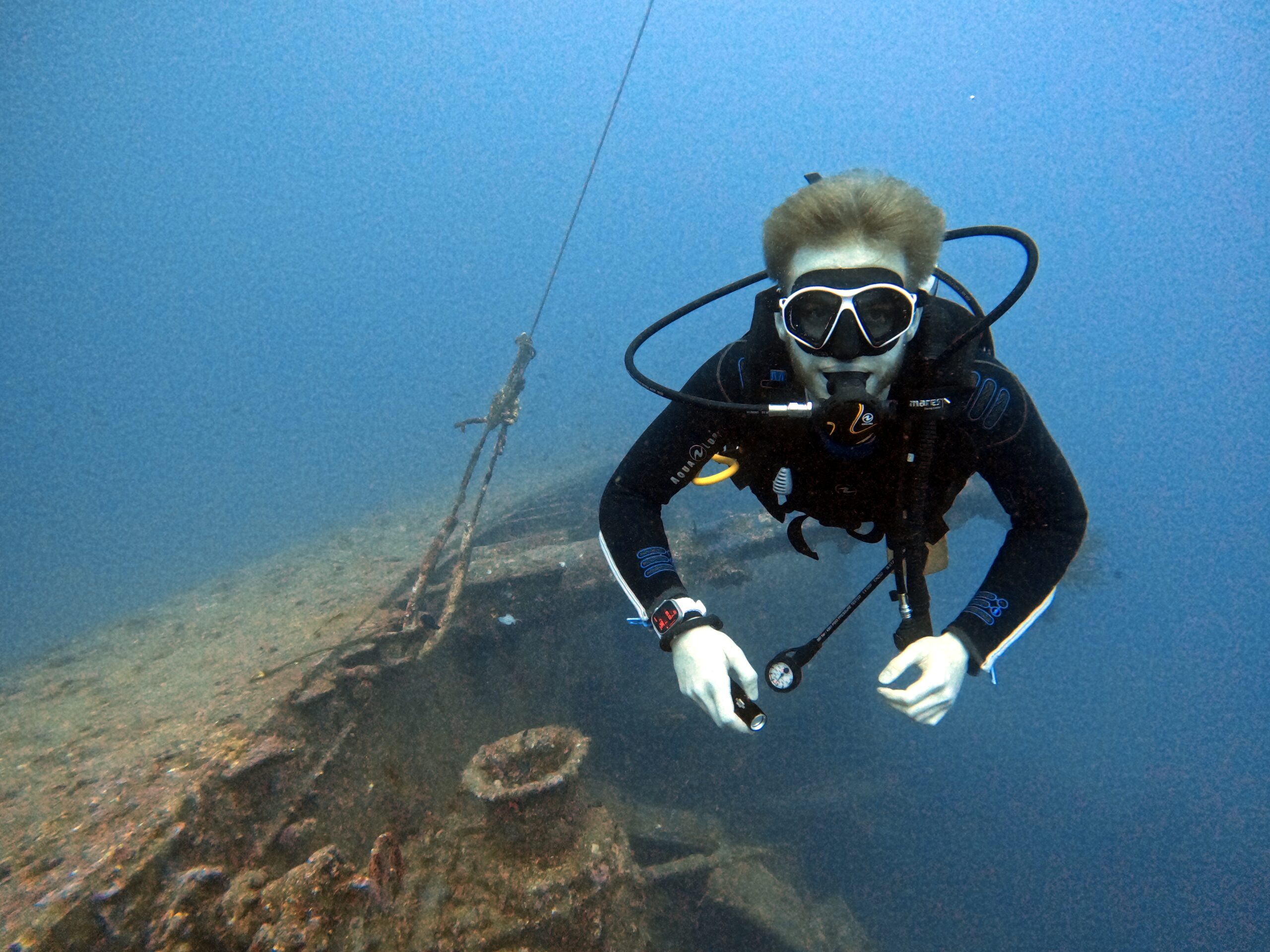 USS エモンズ周辺の海洋生物